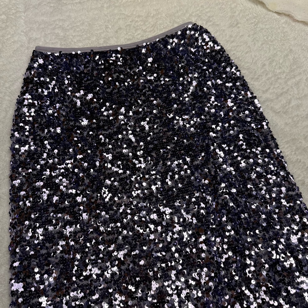 Anthropologie Sequin midi Skirt - Picture 4 of 8